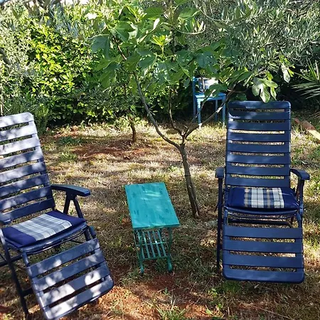 Ferienwohnung Lilly Umag